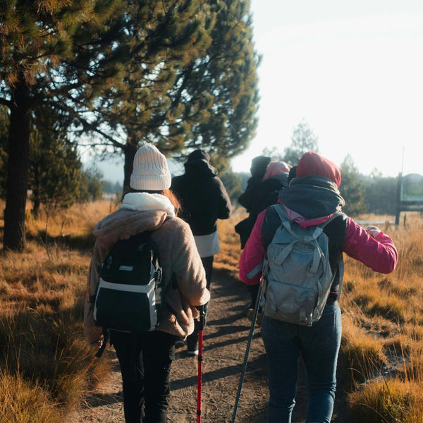 Group of people hiking on a trail with backpacks and walking sticks in a natural setting.