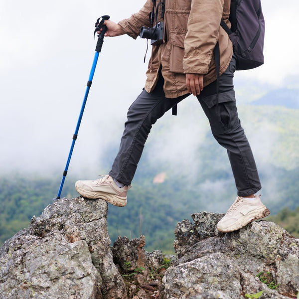 Person hiking on rocky terrain with a backpack and walking stick, surrounded by greenery.